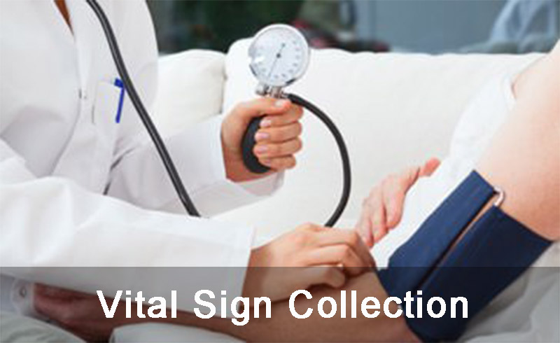 Vital Sign Collection