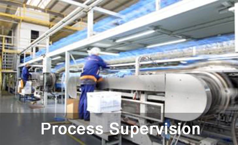 Process Supervision